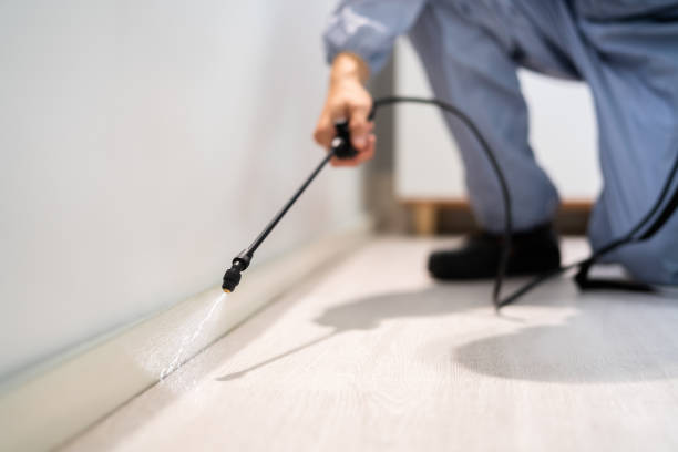 Licensed Rodent Control service in Kingsford Heights, IN - Nex Pest Control
