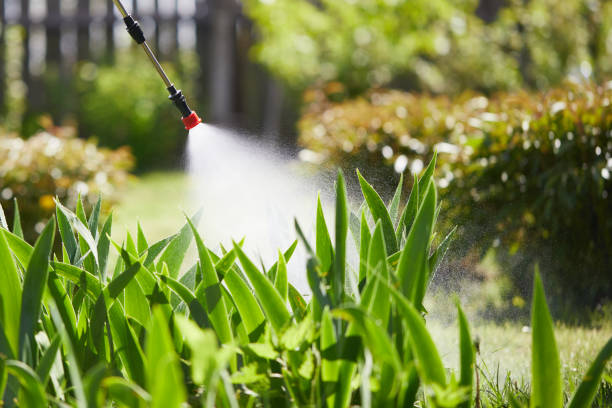 24/7 Emergency Rodent Control experts in Kingsford Heights, IN