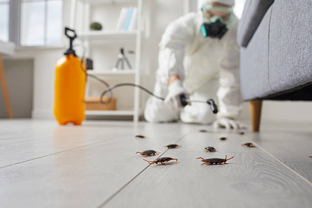 Trusted Rodent Control service in Kingsford Heights, IN - Nex Pest Control